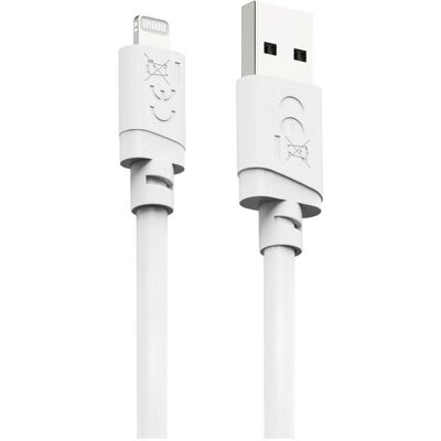 Hama Câble de charge, USB-A - Lightning, pour iPhone/iPad, MFi, 1 m, blanc (1 m, USB 2.0), Câble USB Hama Câble de charge, USB-A - Lightning, pour iPhone/iPad, MFi, 1 m, blanc (1 m, USB 2.0), Câble USB