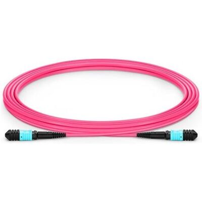 XtendLan Câble de raccordement FO MPO(f)-MPO(f) / Câble de raccordement optique / Multimode 50/125 OM4 / (3 m), Câble réseau XtendLan Câble de raccordement FO MPO(f)-MPO(f) / Câble de raccordement optique / Multimode 50/125 OM4 / (3 m), Câble réseau