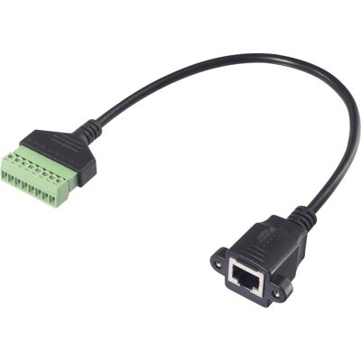 Adaptateur de câble réseau Renkforce - 30cm Noir Adaptateur de câble réseau Renkforce - 30cm Noir