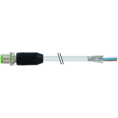 Murr Elektronik M12 mâle blindé avec extrémité Ltg libre PUR-OB 4x0.34 blindé 1.5m, Câble + prise électronique, Gris Murr Elektronik M12 mâle blindé avec extrémité Ltg libre PUR-OB 4x0.34 blindé 1.5m, Câble + prise électronique, Gris