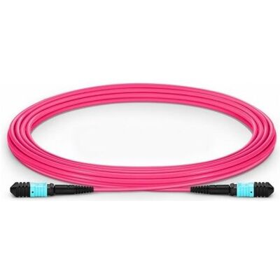 XtendLan Câble de raccordement à fibre optique MPO(f)-MPO(f) OM4, 5 m (5 m), Câble réseau XtendLan Câble de raccordement à fibre optique MPO(f)-MPO(f) OM4, 5 m (5 m), Câble réseau