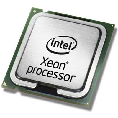Intel CPU/E5-2403 v2 Cache BOX (LGA 1356, 1.80 GHz, 4 -Core), Processeur Intel CPU/E5-2403 v2 Cache BOX (LGA 1356, 1.80 GHz, 4 -Core), Processeur