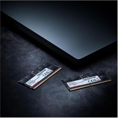 Adata SO-DDR5 16GB 5600-46 Premier simple plateau (1 x 16GB, 5600 MHz, RAM DDR5, SO-DIMM), Mémoire vive, Vert Adata SO-DDR5 16GB 5600-46 Premier simple plateau (1 x 16GB, 5600 MHz, RAM DDR5, SO-DIMM), Mémoire vive, Vert
