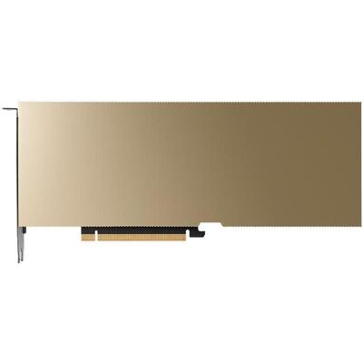 PNY Carte graphique NVIDIA L40S 48 Go (48 Go, GDDR6), Carte graphique, Marron PNY Carte graphique NVIDIA L40S 48 Go (48 Go, GDDR6), Carte graphique, Marron