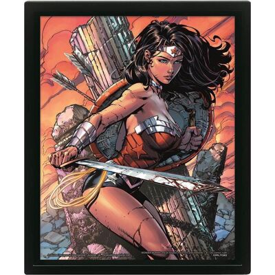 Pyramid Wonder Woman Cadre 3d Lenticulaire Battle, Autres accessoires gaming, Multicolore Pyramid Wonder Woman Cadre 3d Lenticulaire Battle, Autres accessoires gaming, Multicolore