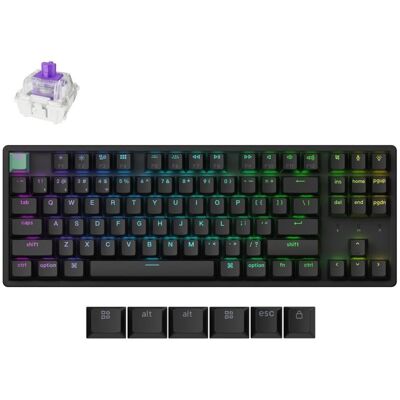 Keychron K8 HE 80 % système de filtration à pelin, noir, Souris + clavier : accessoires, Noir Keychron K8 HE 80 % système de filtration à pelin, noir, Souris + clavier : accessoires, Noir
