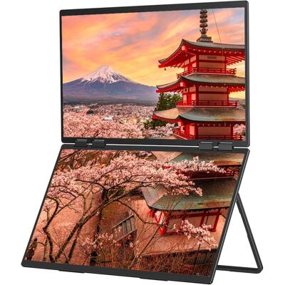 Japannext 60,5cm JN-DMD-IPS238F-C4 Dual-Monitor M-Touch FHD (1920 x 1080 pixels, 23.80"), Moniteur, Noir Japannext 60,5cm JN-DMD-IPS238F-C4 Dual-Monitor M-Touch FHD (1920 x 1080 pixels, 23.80"), Moniteur, Noir