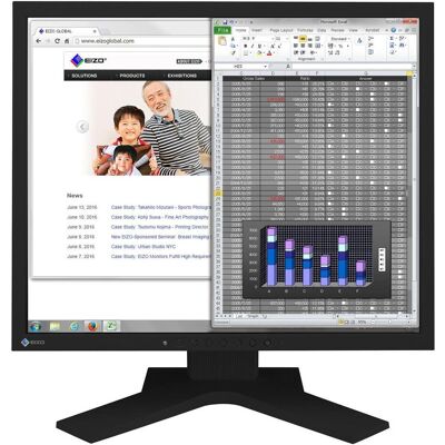 Eizo S1934 FlexScan (1280 x 1024 pixels, 19"), Moniteur, Noir Eizo S1934 FlexScan (1280 x 1024 pixels, 19"), Moniteur, Noir