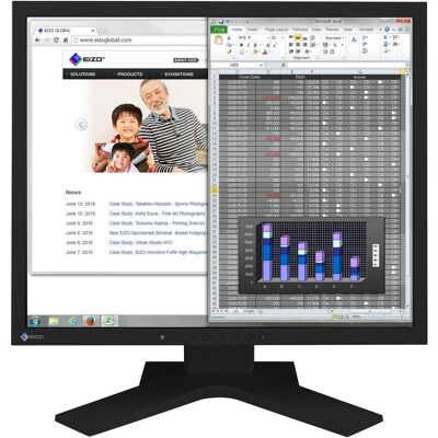 Eizo S1934 FlexScan (1280 x 1024 pixels, 19"), Moniteur, Noir Eizo S1934 FlexScan (1280 x 1024 pixels, 19"), Moniteur, Noir