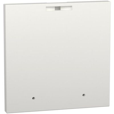 Schneider PrismaSeT-P, cache de panneau frontal, 72x72mm,avec pré-impression LVS03907, Armoire serveur : accessoires, Blanc Schneider PrismaSeT-P, cache de panneau frontal, 72x72mm,avec pré-impression LVS03907, Armoire serveur : accessoires, Blanc
