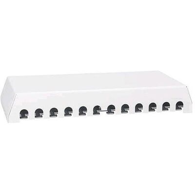 Rutenbeck PP-UM A-12 Ap rw, Serveur : accessoires, Blanc Rutenbeck PP-UM A-12 Ap rw, Serveur : accessoires, Blanc