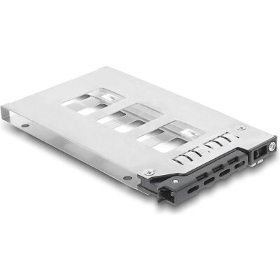 Delock Wechselrahmen Einschub für 1 x 2.5? SATA / SAS HDD / SSD für Wechselrahmen 47172 (47179), Disque dur : accessoires Delock Wechselrahmen Einschub für 1 x 2.5? SATA / SAS HDD / SSD für Wechselrahmen 47172 (47179), Disque dur : accessoires
