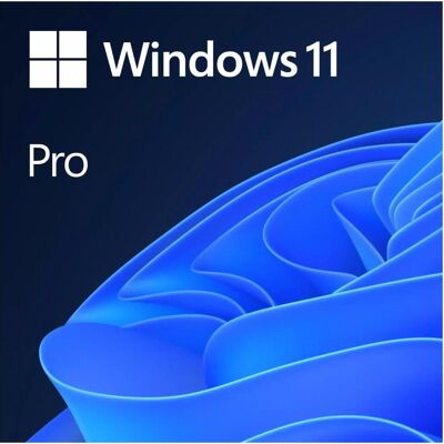 Microsoft Windows 11 Pro (EN) pour Windows Microsoft Windows 11 Pro (EN) pour Windows