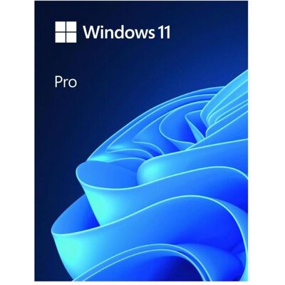 Microsoft Windows 11 Pro pour Windows Microsoft Windows 11 Pro pour Windows