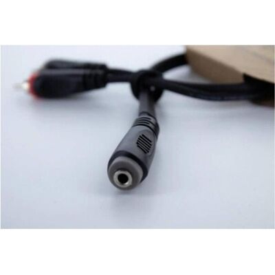 Cordial 14889 Câble Adaptateur Audio Y Stéréo - 0,30 m, Noir Cordial 14889 Câble Adaptateur Audio Y Stéréo - 0,30 m, Noir