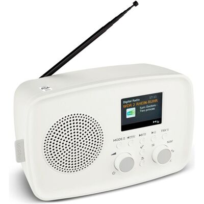 Medion LIFE DAB+ Radio DRE-1 (MD89288) DAB+ Radio (mit Wecker, Bluetooth, tragbar, UKW) (DAB+ DAB, FM, Bluetooth, WiFi), Radio, Blanc Medion LIFE DAB+ Radio DRE-1 (MD89288) DAB+ Radio (mit Wecker, Bluetooth, tragbar, UKW) (DAB+ DAB, FM, Bluetooth, WiFi), Radio, Blanc
