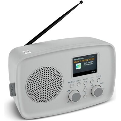 Medion LIFE DAB+ Radio DRE-1 (MD89288) DAB+ Radio (mit Wecker, Bluetooth, tragbar, UKW) (DAB+ DAB, Bluetooth, WiFi), Radio, Gris Medion LIFE DAB+ Radio DRE-1 (MD89288) DAB+ Radio (mit Wecker, Bluetooth, tragbar, UKW) (DAB+ DAB, Bluetooth, WiFi), Radio, Gris