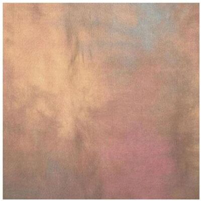 Westcott Backdrop 10' x 24' Hazel Pastel (732 cm), Fond de studio, Beige Westcott Backdrop 10' x 24' Hazel Pastel (732 cm), Fond de studio, Beige