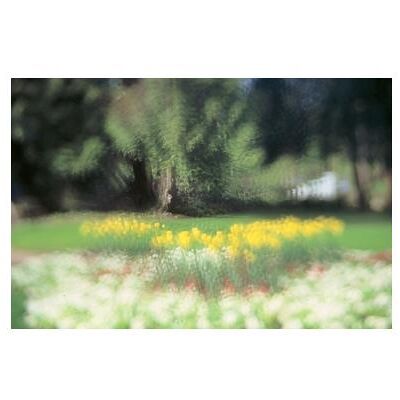 Cokin WA1T093 (67 mm), Filtre photo Cokin WA1T093 (67 mm), Filtre photo