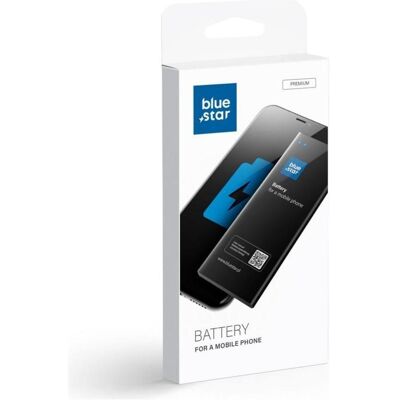 NoName Batterie Blue Star BLUE STAR PREMIUM pour SAMSUNG B2710 Solid 1400 mAh, Batterie pour téléphone portable NoName Batterie Blue Star BLUE STAR PREMIUM pour SAMSUNG B2710 Solid 1400 mAh, Batterie pour téléphone portable