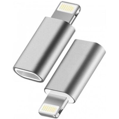 PowerGuard Convertisseur USB-C vers Lightning Mini adaptateur (USB-C, Lightning), Adaptateur pour appareils mobiles, Argent PowerGuard Convertisseur USB-C vers Lightning Mini adaptateur (USB-C, Lightning), Adaptateur pour appareils mobiles, Argent