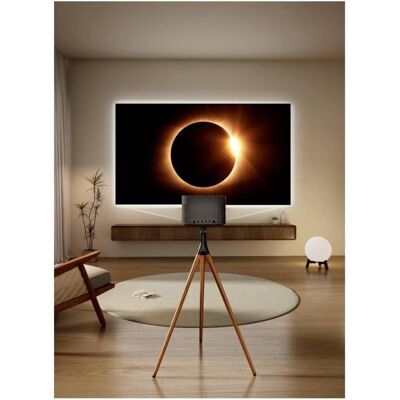 Reflecta Support de projecteur BW (Sol), Support pour projecteur, Noir, Marron Reflecta Support de projecteur BW (Sol), Support pour projecteur, Noir, Marron