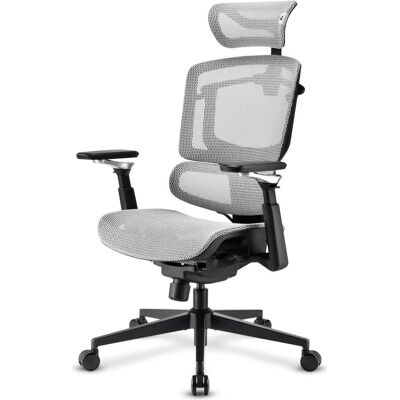 Sharkoon OfficePal C50M, Chaise gaming, Gris, Noir Sharkoon OfficePal C50M, Chaise gaming, Gris, Noir