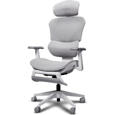 Trust Fauteuils et bureaux d'ordinateur Fauteuil d'ordinateur GXT725W Rivara Blanc, Chaise gaming, Blanc, Noir Trust Fauteuils et bureaux d'ordinateur Fauteuil d'ordinateur GXT725W Rivara Blanc, Chaise gaming, Blanc, Noir