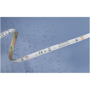 Barthelme Basic, Bande LED, 51540434 51540434 Bande LED avec extrémité de câble ouverte 12 V/DC 5 (Blanc froid, 500 cm, Extérieur, Intérieur) Barthelme Basic, Bande LED, 51540434 51540434 Bande LED avec extrémité de câble ouverte 12 V/DC 5 (Blanc froid, 500 cm, Extérieur, Intérieur)