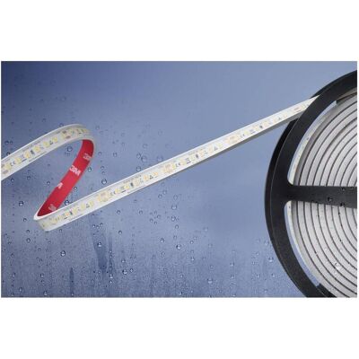 Barthelme Basic Bande LED - 24V/IP67/5m - Intérieur Extérieur Barthelme Basic Bande LED - 24V/IP67/5m - Intérieur Extérieur