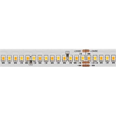 Sigor, Bande LED, 20W/m TW Bande LED 5000-2700K 5m 288LED/m IP20 24V (Blanc, 500 cm, Intérieur) Sigor, Bande LED, 20W/m TW Bande LED 5000-2700K 5m 288LED/m IP20 24V (Blanc, 500 cm, Intérieur)
