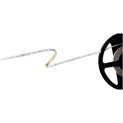 Barthelme, Bande LED, SET de montage BASIC TOP VIEW 4 mm (Rouge, 500 cm, Intérieur) Barthelme, Bande LED, SET de montage BASIC TOP VIEW 4 mm (Rouge, 500 cm, Intérieur)