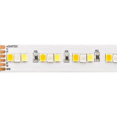Sigor bande LED RGB/TW de 5m - Bande LED Sigor bande LED RGB/TW de 5m - Bande LED