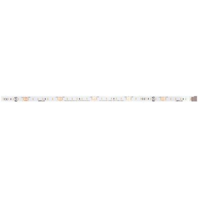 Ruban LED DOTLUX 100W 20m IP20 4000K double face avec câble Ruban LED DOTLUX 100W 20m IP20 4000K double face avec câble