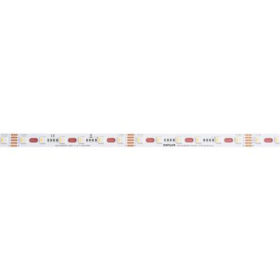 Ruban LED RGBW DOTLUX - 96W 12mm IP20 5m avec câble Ruban LED RGBW DOTLUX - 96W 12mm IP20 5m avec câble