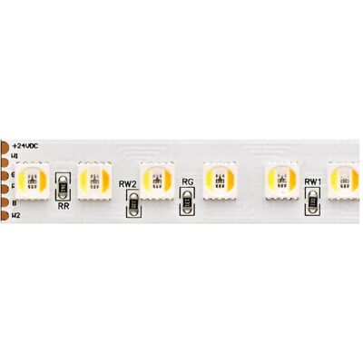 Sigor, Bande LED, Bande LED 32W/m RGB/TW RGB/2300+6500K 5m 112 LED/m IP20 24V 1662lm WH (Blanc, RGB, 500 cm, Intérieur) Sigor, Bande LED, Bande LED 32W/m RGB/TW RGB/2300+6500K 5m 112 LED/m IP20 24V 1662lm WH (Blanc, RGB, 500 cm, Intérieur)