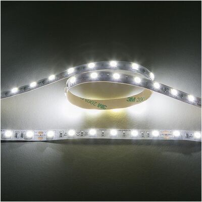 Nobile, Bande LED, 5011260510 (Blanc froid, 500 cm, Intérieur) Nobile, Bande LED, 5011260510 (Blanc froid, 500 cm, Intérieur)