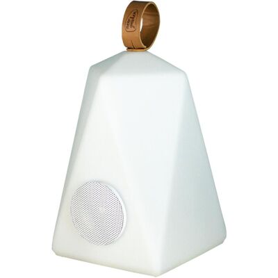 Newgarden, Lampe de table, FARALAY 30 LED Bluetooth Haut-parleur RGB Télécommande Poignée Extérieur IP43 Newgarden, Lampe de table, FARALAY 30 LED Bluetooth Haut-parleur RGB Télécommande Poignée Extérieur IP43