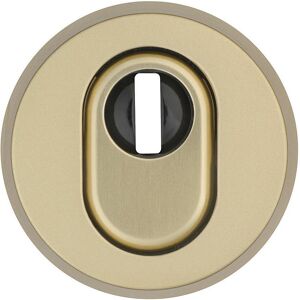 Abus, Protection contre le cambriolage + système d'alarme, RHZS415 F3 EK Rosace de protection, laiton Abus, Protection contre le cambriolage + système d'alarme, RHZS415 F3 EK Rosace de protection, laiton