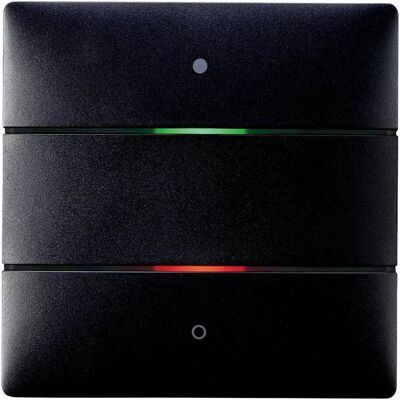 Theben THEB Capteur de touche, Thermostat, Noir Theben THEB Capteur de touche, Thermostat, Noir