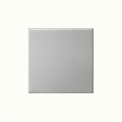Gira S3000 Commutateur en Acier Inox - Panneau de Contrôle System 55 Gira S3000 Commutateur en Acier Inox - Panneau de Contrôle System 55