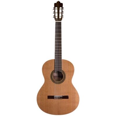 No Name Prodipe Guitars Recital 200 4/4 - guitare classique (Guitare classique), Guitare No Name Prodipe Guitars Recital 200 4/4 - guitare classique (Guitare classique), Guitare
