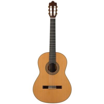 No Name Prodipe Guitars Soloist 700 4/4 - guitare classique (Guitare classique), Guitare No Name Prodipe Guitars Soloist 700 4/4 - guitare classique (Guitare classique), Guitare