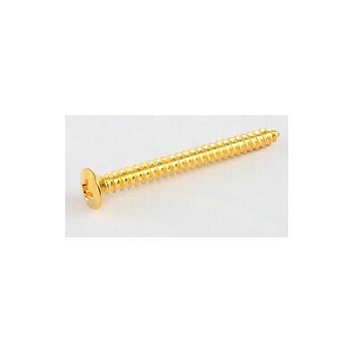 AllParts AP GS 0005-002 Vis pour plaque d'encastrement or, Instrument : accessoires, Or AllParts AP GS 0005-002 Vis pour plaque d'encastrement or, Instrument : accessoires, Or