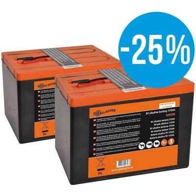 Gallagher Batterie Powerpack (Duopack) 9V/175Ah - (2 pcs, 9V Block), Batteries + piles Gallagher Batterie Powerpack (Duopack) 9V/175Ah - (2 pcs, 9V Block), Batteries + piles