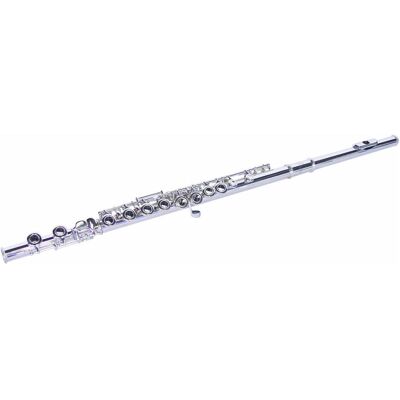 Dimavery QP-10 C Flûte traversière, argentée (Flûte traversière), Instrument à vent, Argent Dimavery QP-10 C Flûte traversière, argentée (Flûte traversière), Instrument à vent, Argent