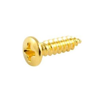 AllParts AP GS 0001-002 Vis PG (20) or (Pièces de rechange pour instruments), Instrument : accessoires, Or AllParts AP GS 0001-002 Vis PG (20) or (Pièces de rechange pour instruments), Instrument : accessoires, Or