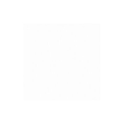 AllParts AP PG 0095-025 PG brut 1-l. blanc (Pièces de rechange pour instruments), Instrument : accessoires, Blanc AllParts AP PG 0095-025 PG brut 1-l. blanc (Pièces de rechange pour instruments), Instrument : accessoires, Blanc