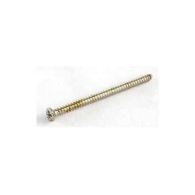 AllParts AP GS 3312-001 Vis pour barre de savon PU (Pièces de rechange pour instruments), Instrument : accessoires, Argent AllParts AP GS 3312-001 Vis pour barre de savon PU (Pièces de rechange pour instruments), Instrument : accessoires, Argent