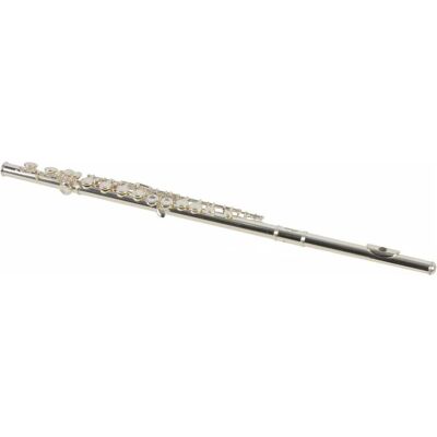 Stagg WS-FL211S - fléchette transversale C + étui (Tuyau de raccordement), Instrument à vent Stagg WS-FL211S - fléchette transversale C + étui (Tuyau de raccordement), Instrument à vent